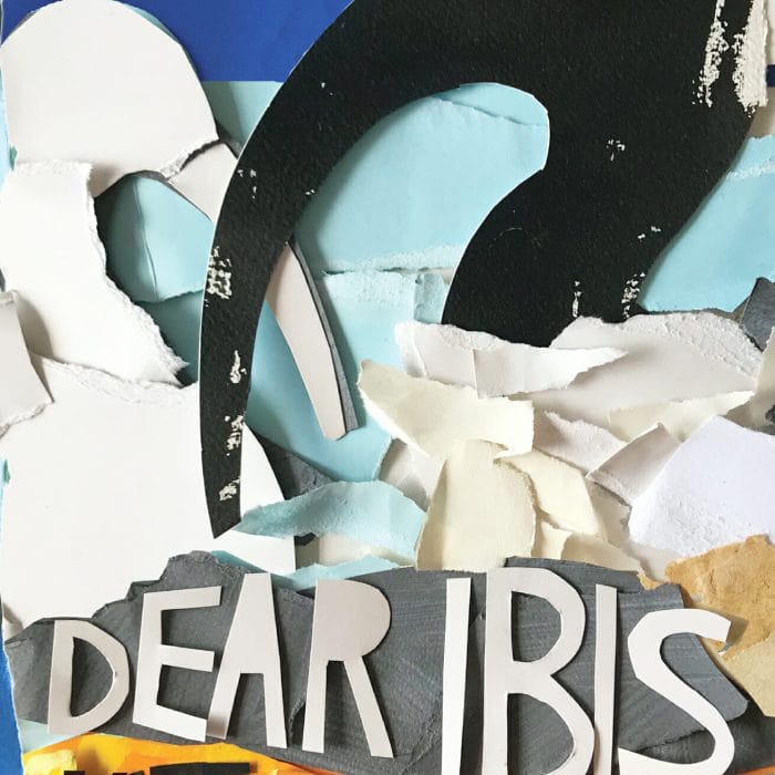 Dear Ibis