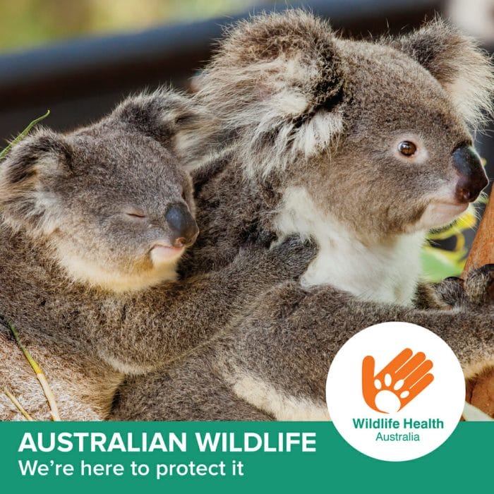 Wildlife Health Australia