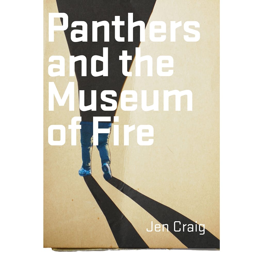 Cover of Fiction Book by Jen Craig, Panthers & the Museum Of Fire, Design BKAD